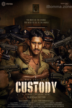 Custody Movie - iBOMMA